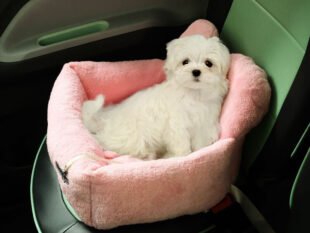 Fahrzeug Sitzkissen für Hund